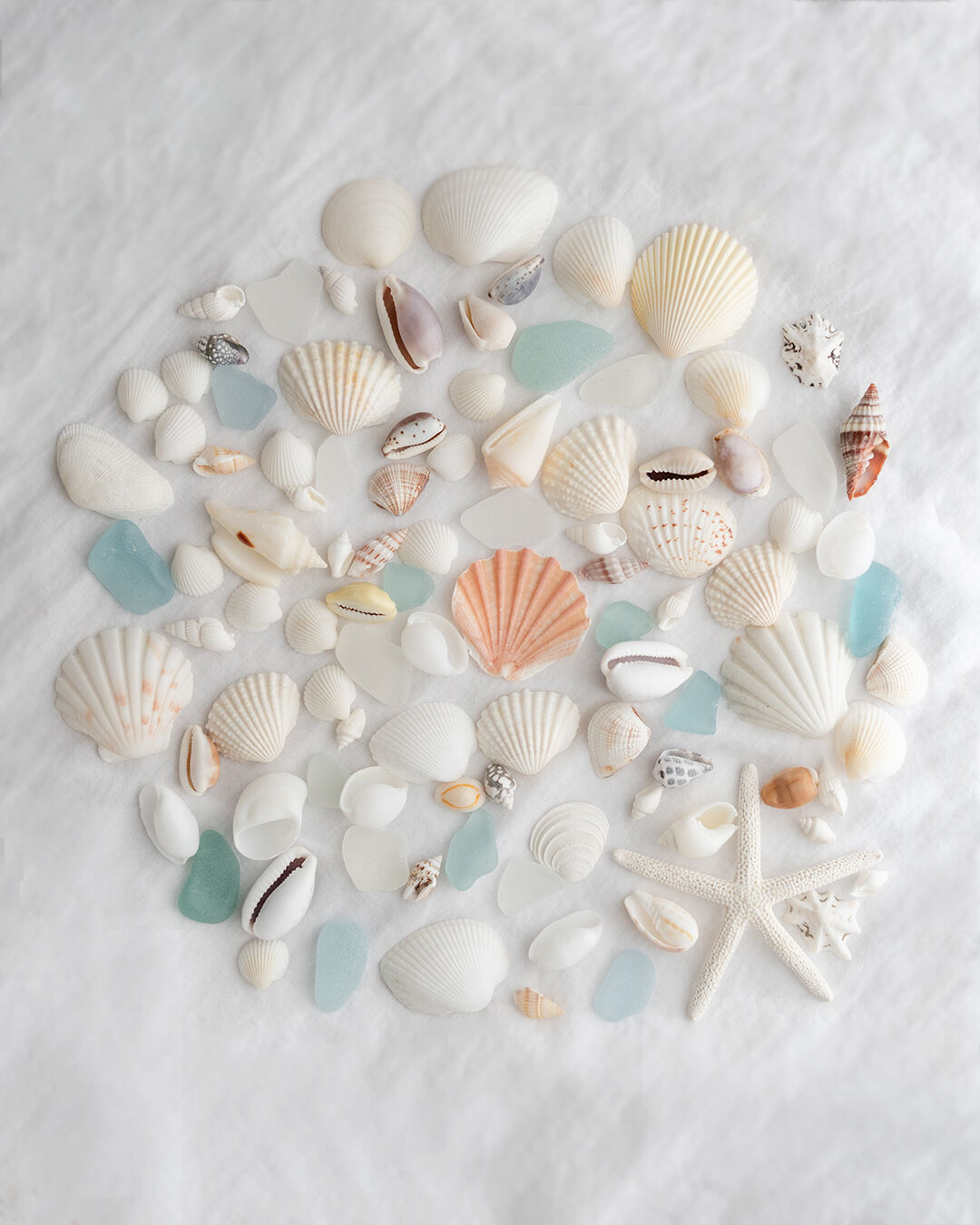 サンゴ シーグラス 貝殻セット 海 ハワイ好きに