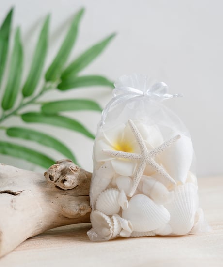 ✨天然素材ミックスビーチ 約500個マリン雑貨シェル 貝殻ハンドメイド