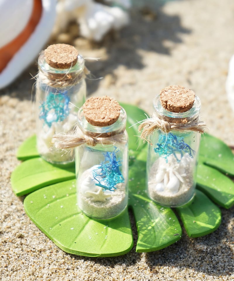 シーグラス、サンゴ！貝殻