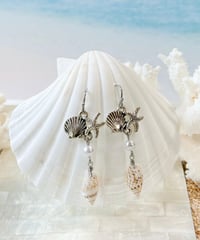 海モチーフの天然巻貝ピアス / シルバー　SHELOOMオリジナル