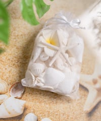 シェル＆スターフィッシュ ハート型リース SHELOOMオリジナル