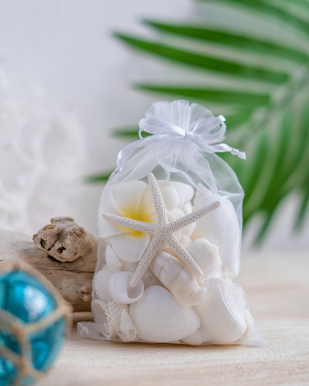 ✨天然素材ミックスビーチ 約500個マリン雑貨シェル 貝殻ハンドメイドDIY ✨天然素材ミックスビーチ 約500個マリン雑貨シェル 貝殻