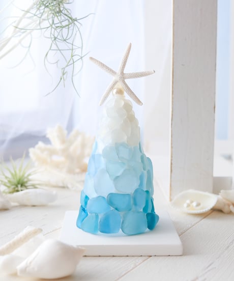 CATEGORY 美術協力アイテム | SHELOOM （シェルーム） 海雑貨・貝殻