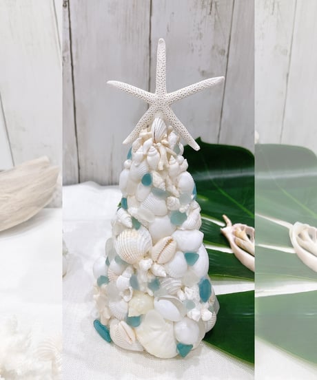 CATEGORY シェル・シーグラスツリーランプ | SHELOOM