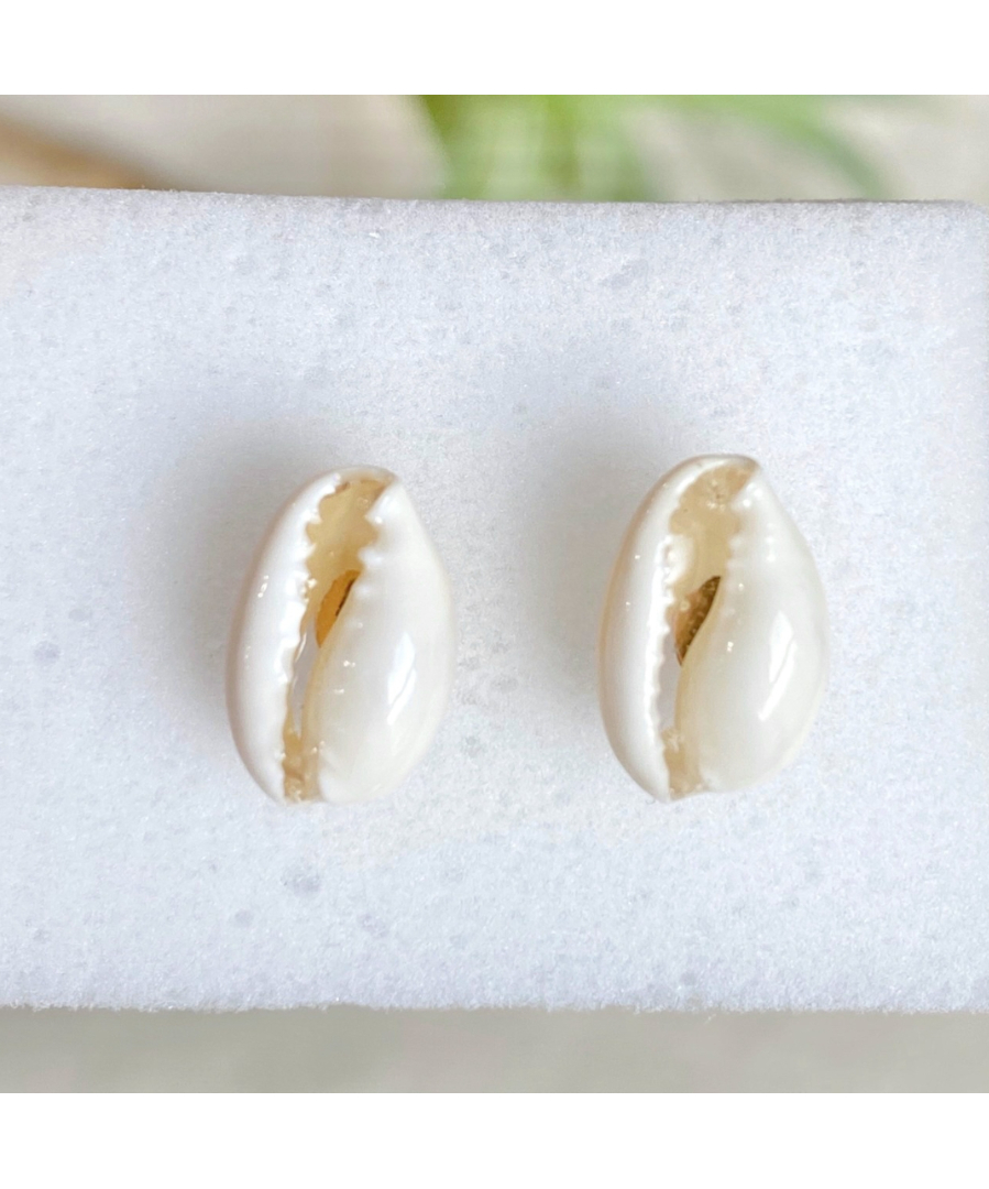 ミニタカラガイのワンポイントピアス SHELOOMオリジナル | SHELOOM