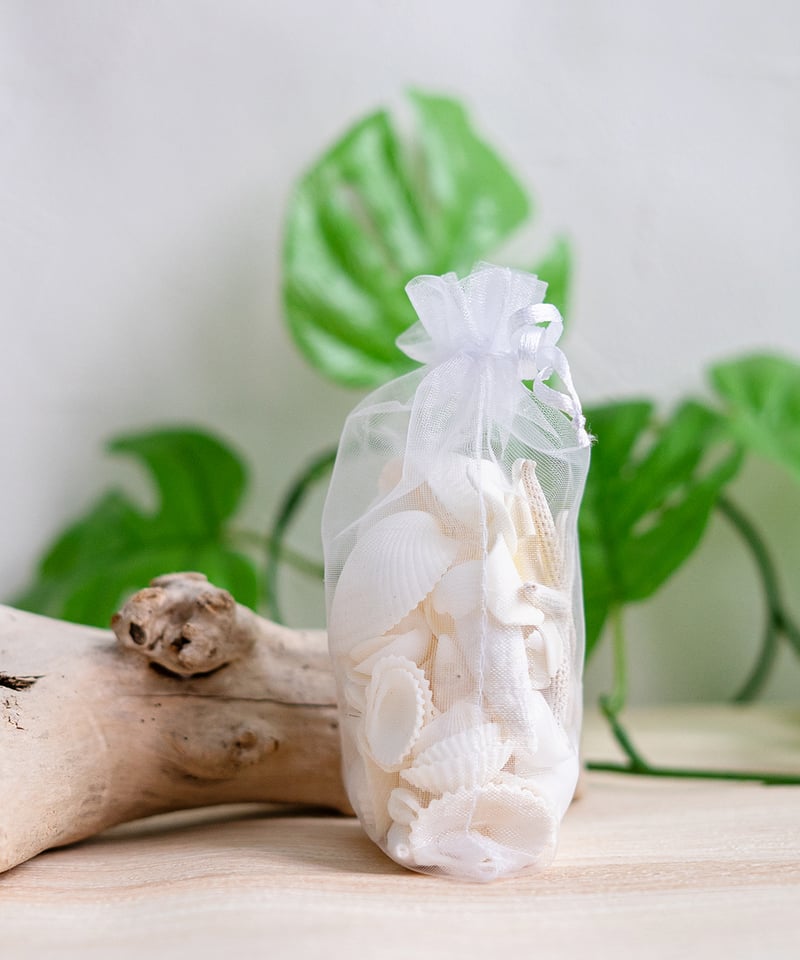 ホワイトビーチシェルミックス（貝殻・シーグラス・スターフィッシュ