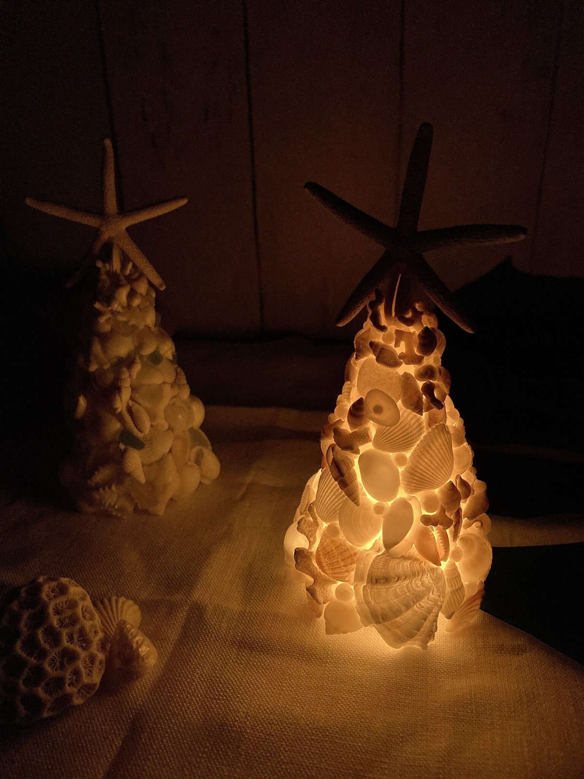 shell light clear。シェルライト ヒトデ パールstarfish shell light clear。シェルライト ヒトデ パールstarfish