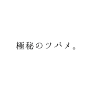 秘密のツバメ。