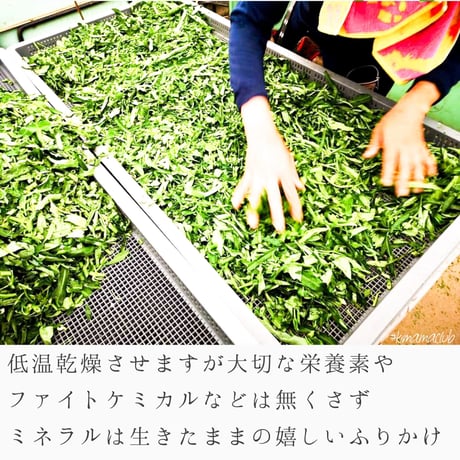 菌ちゃんげんきっこ【腸内環境強化ミネラル補給に】おにぎりや、お味噌汁の出汁にも…