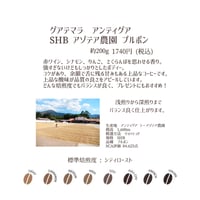 グアテマラ　アンティグア　SHB　アゾテア農園