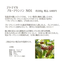 ジャマイカ　ブルーマウンテン NO1