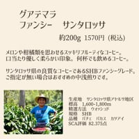 グアテマラ　ファンシー　サンタロッサ　SHB