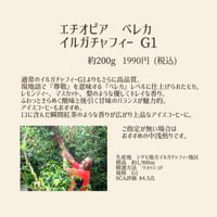 エチオピア　イルガチャフィー　G1　ベレカ