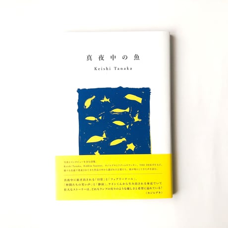 真夜中の魚 [詩集]