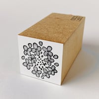 生物図鑑 -春-　菜の花 [spring: canola flower]
