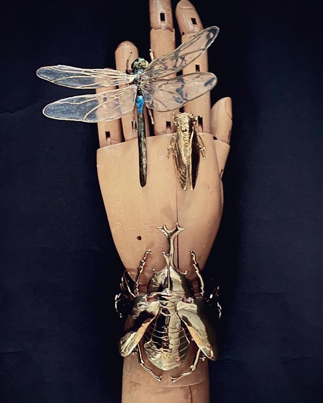 カブトムシ バングル | ahcahcum