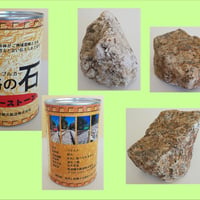 筑波山ケーブルカー線路の石