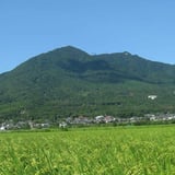 筑波観光鉄道 MT.tsukuba Online Shop