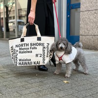 ロゴキャンバストートバッグ　生成りベース