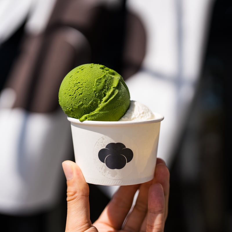 冷凍便】ジェラートおまかせ12種セット | ちわたや