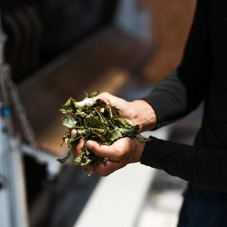 ※ギフト用※【東坂茶園×ちわたや】茶の時間セット（茶バター・スコーン・ほうじ茶）