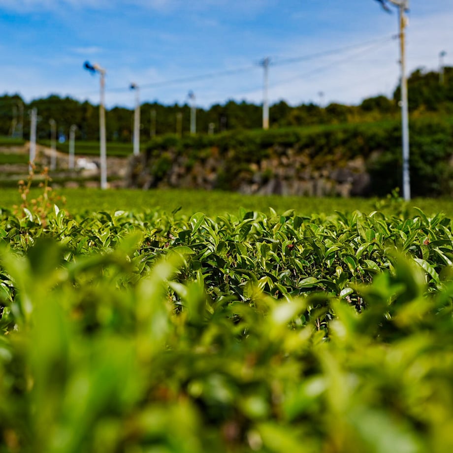 633f4e484b08393cfdf938de