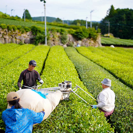 ※ギフト用※【東坂茶園×ちわたや】茶の時間セット（茶バター・スコーン・ほうじ茶）