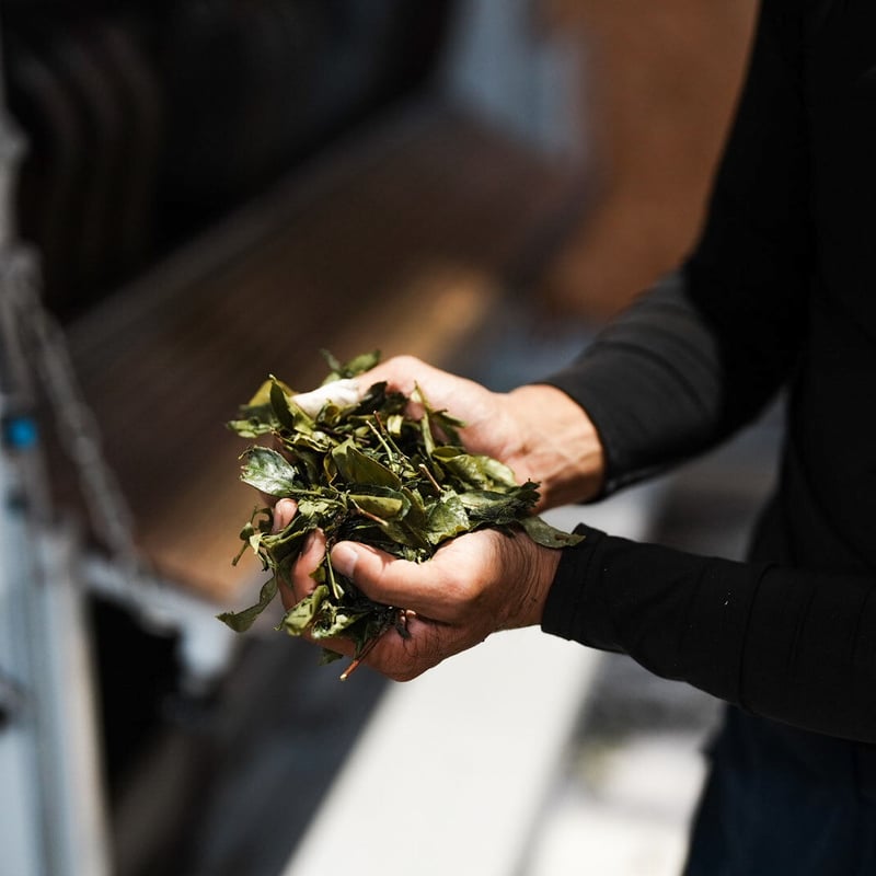ギフト用※【東坂茶園×ちわたや】茶バターとほうじ茶セット | ち