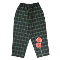 Papaver rhoeas -Tartans GREEN-