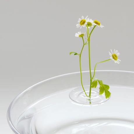 Floating Vase / RIPPLE｜oodesign