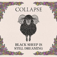 1st Album「BLACK SHEEP IS STILL DREAMING」