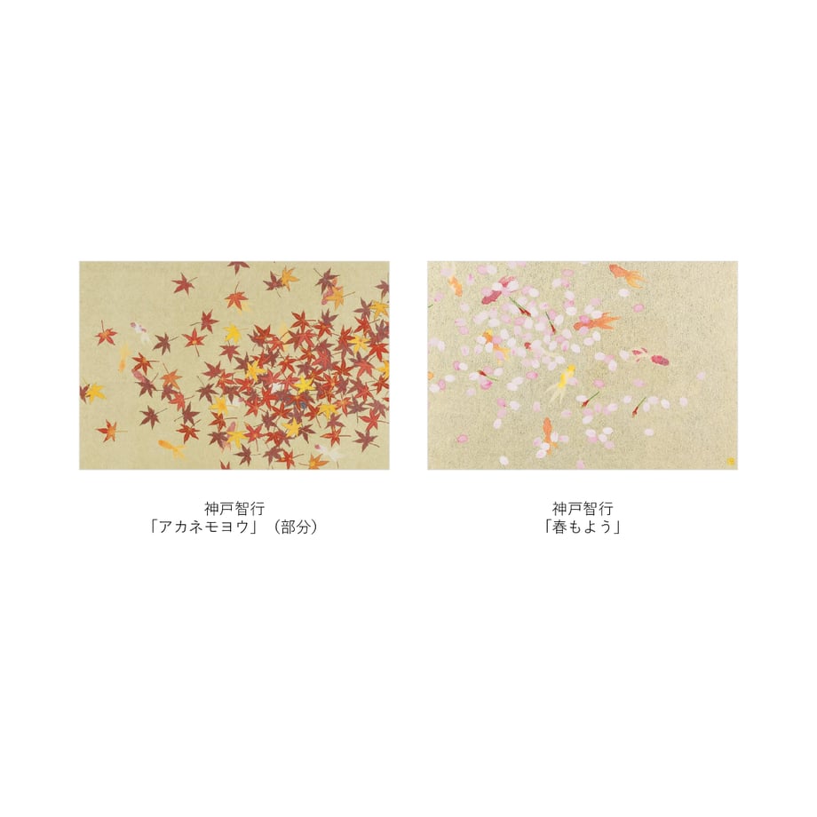 67f897dce3d9a40047d05de8