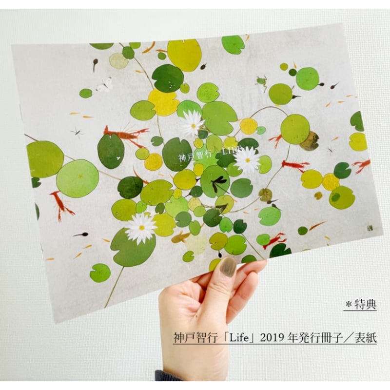 神戸智行｜カタログ／図録／画集｜2019年発行（特典付） | HIROTA FINE