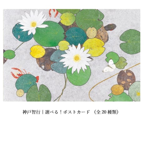 神戸智行｜選べる！ポストカード（全20種）