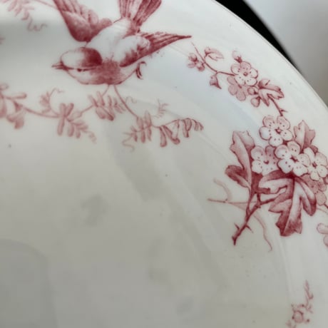 ●po-150/Coalport コールポート 小鳥とすみれのプレート