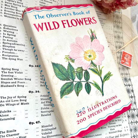 ●vp-57/1965年版 小さな植物図鑑「WILD FLOWERS」