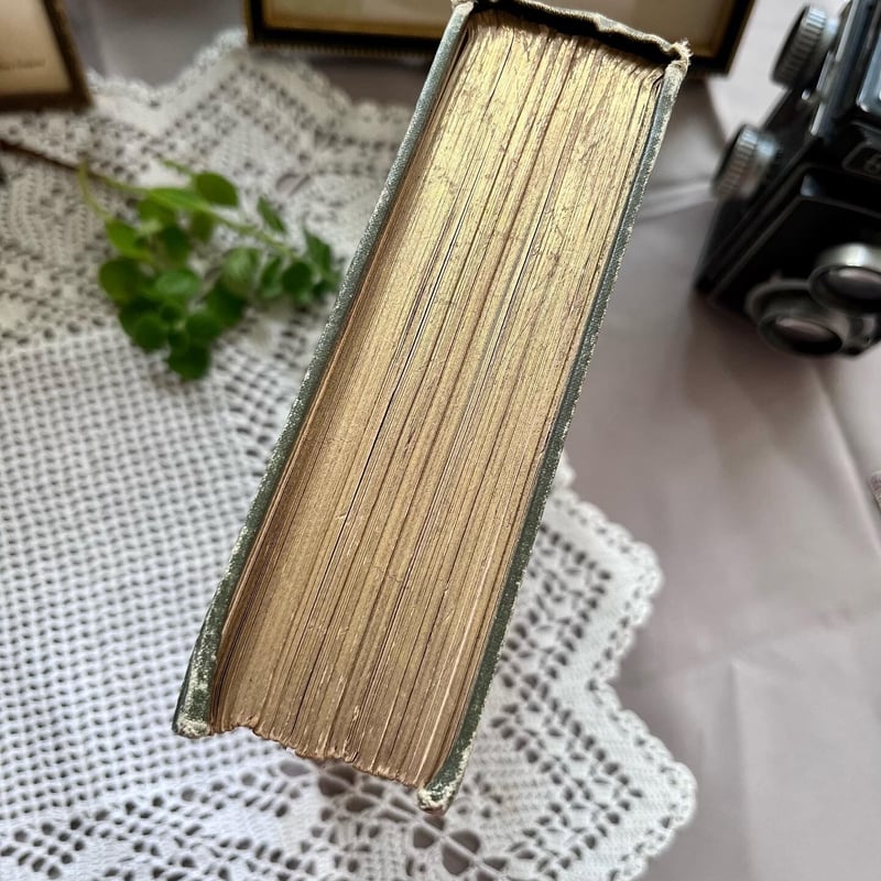 ○vp-15/ ヴィクトリアン パンジーの装丁本「WHO SHALL SERVE」 | PIS