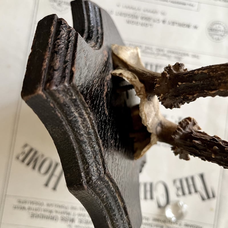 ○s-76/子鹿のハンティングトロフィー | PISKEY -イギリスのふるい