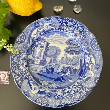 スポード　spode フルーツヘブン　大皿　2枚　蝶々　トロピカル スポード spode フルーツヘブン 大皿 2枚 蝶々 トロピカル Spode