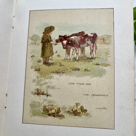 ●vp-52/1892年サイン入り 詩集絵本「TENS AND ELEVENS」