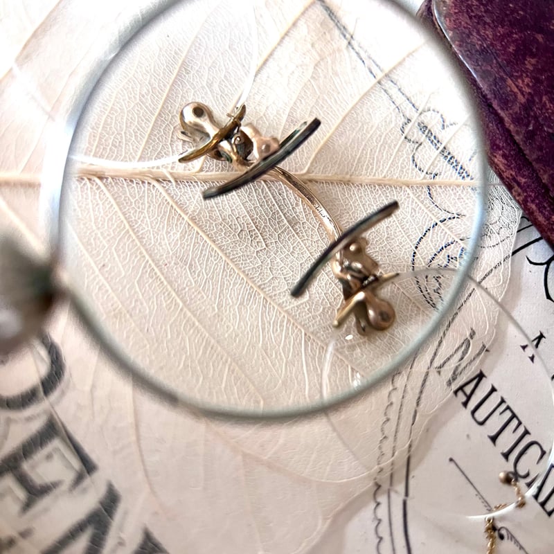 ○o-124/フィンチ眼鏡とメガネケースセット | PISKEY -イギリスの