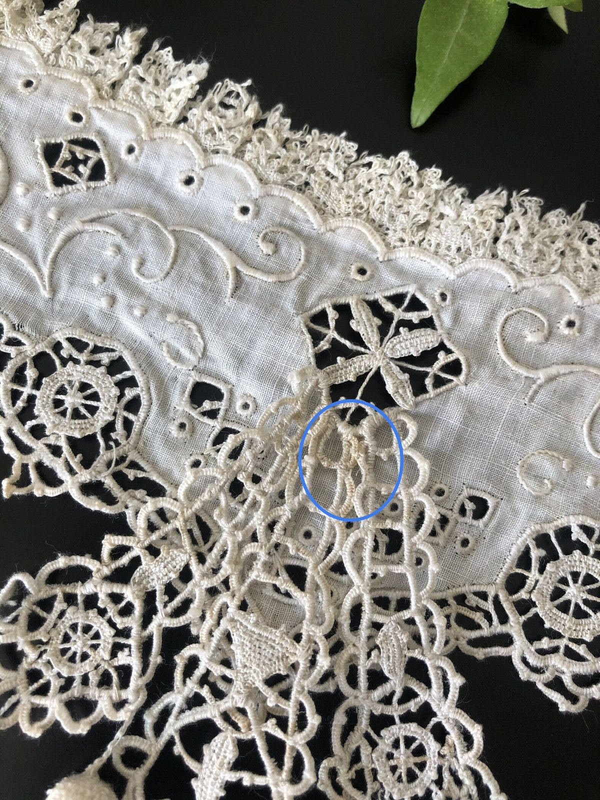 アンティーク19世紀オリジナル状態 繊細で優美なホニトンレース付け襟