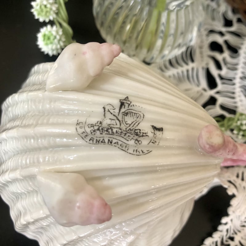 ベリーク BELLEEK ネプチューン シェルカップ＆ソーサー ホワイト