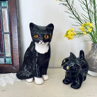 ●po-202/Winstanley Cat イギリス生まれの猫