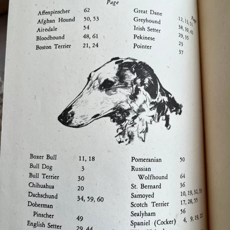 ●vp-62/1942年版 犬の描き方の本「DRAWING DOGS」