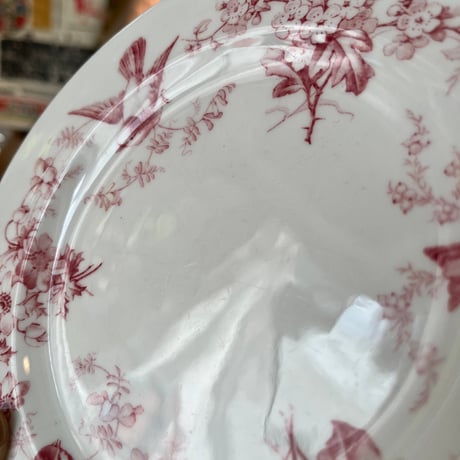 ●po-150/Coalport コールポート 小鳥とすみれのプレート