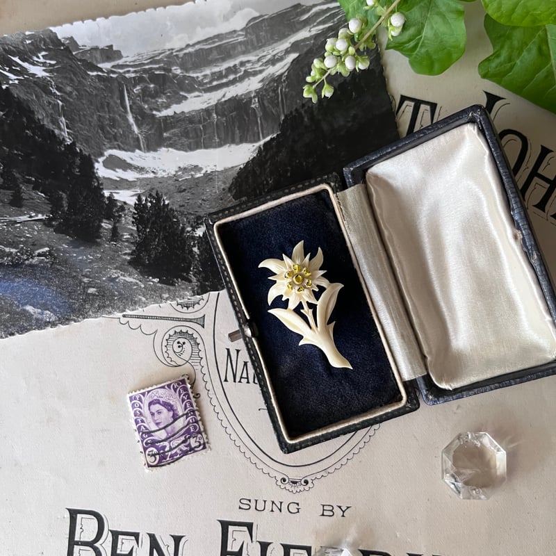 希少　アンティーク　ボーンアート　手彫りブローチk ○ab-24/手彫りのエーデルワイスのブローチ | PISKEY -イギリス