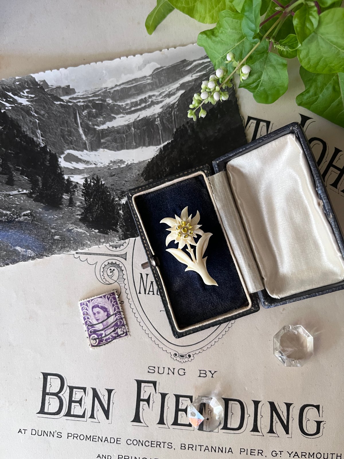 希少　アンティーク　ボーンアート　手彫りブローチk ○ab-24/手彫りのエーデルワイスのブローチ | PISKEY -イギリス