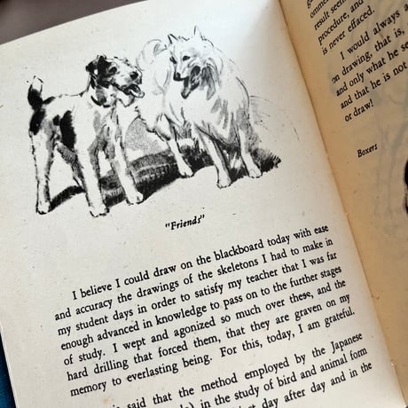 ●vp-62/1942年版 犬の描き方の本「DRAWING DOGS」