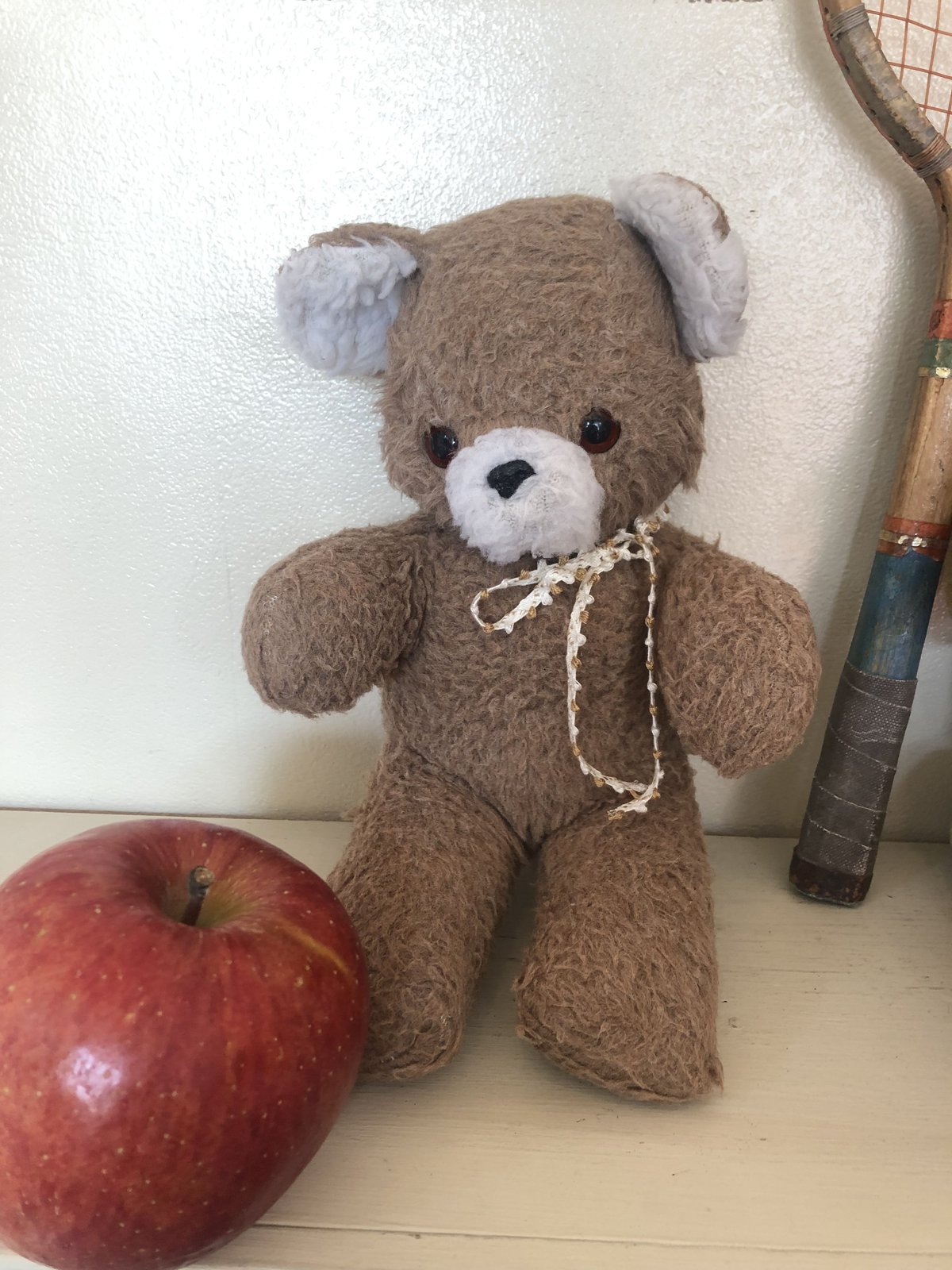 ロッタ様　❤️ペディグリー❤️ 小さめテディベア　ぽっちゃりボディ fit=scale-down,w=1200